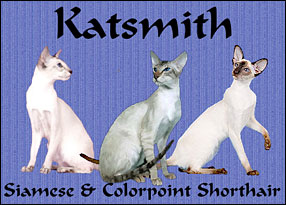 Katsmith Cattery